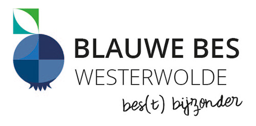 De Blauwe Bes